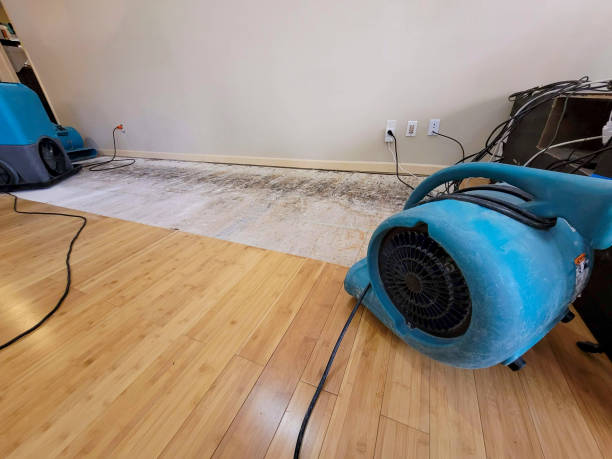 Professional Water Damage Repair technician working in Merchantville, NJ